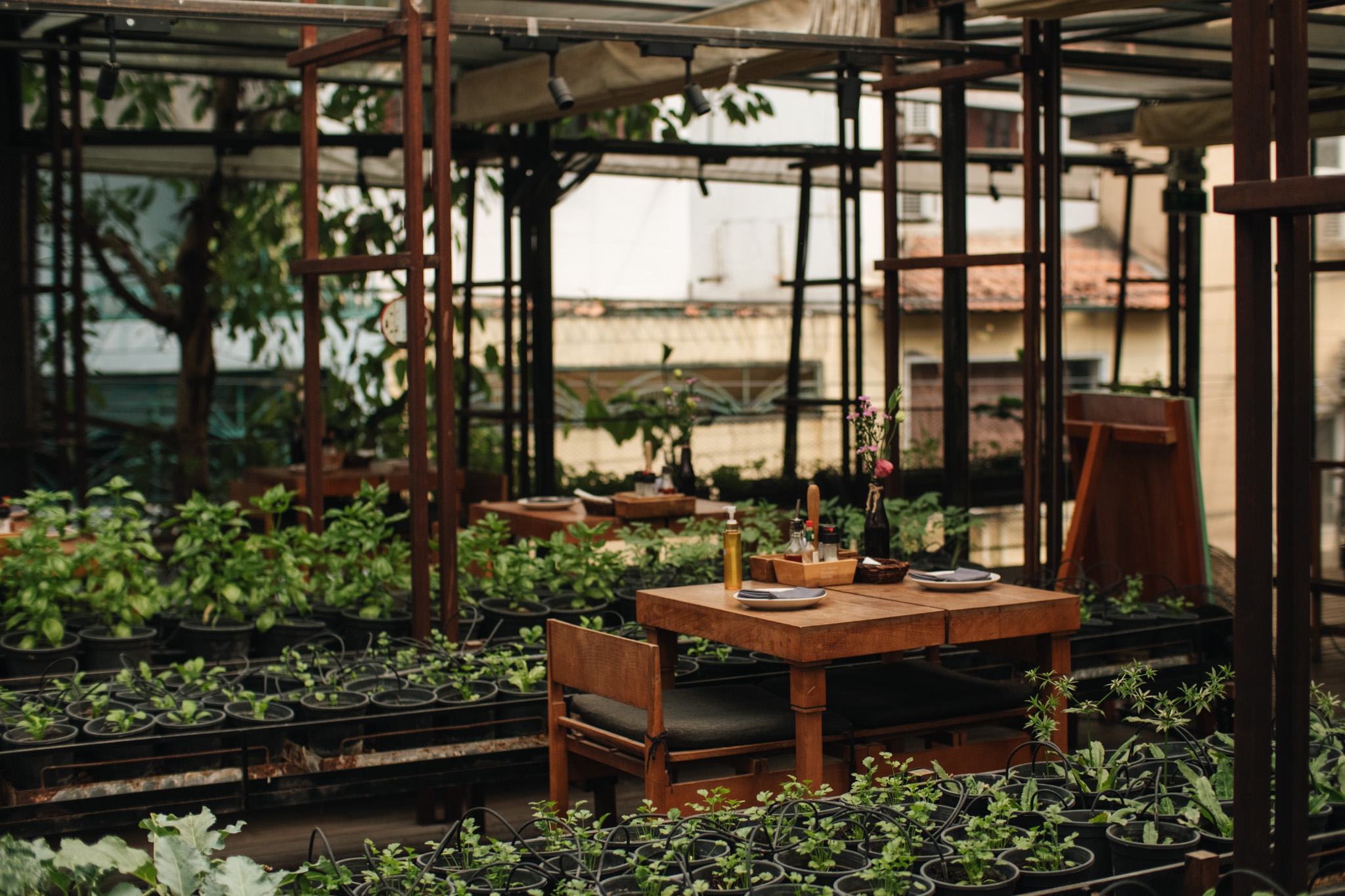 Cozy garden vibes at Pizza 4p's Xuan Thuy